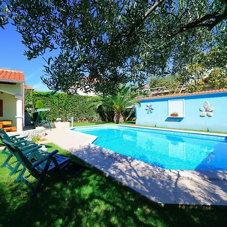 Marinko, No 2 زادار